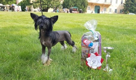 20190824_134537-800_malacky
