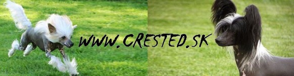 baner-crested.sk_.jpg