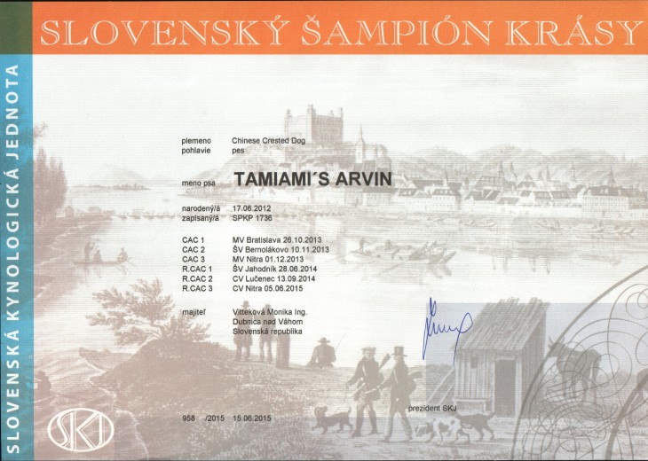 arvin-sampion-slovenska.jpg