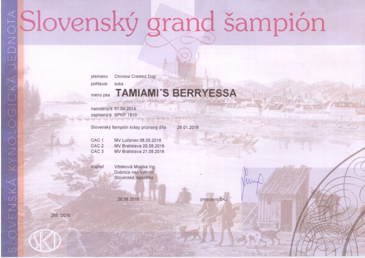 16_berryessa_sampionat_grand.jpg