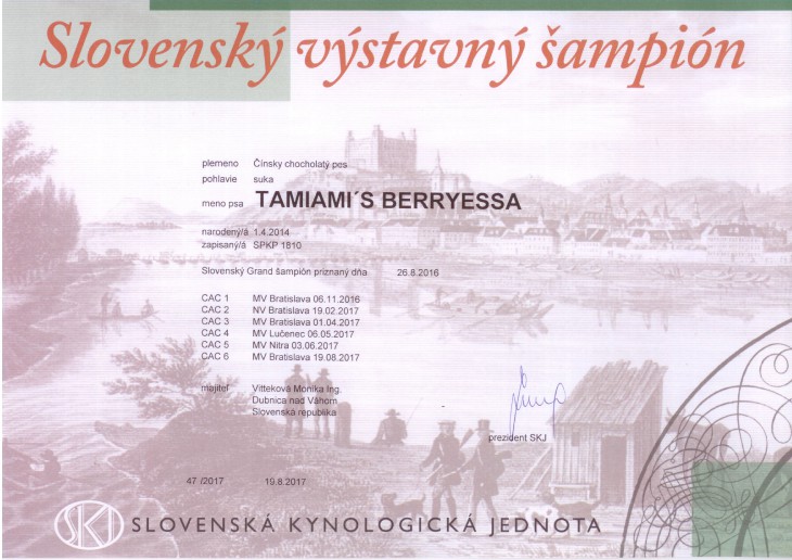 berryessa_vystavny-sampion.jpg