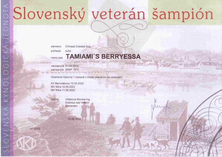 berryessa-sch-veteran.jpg