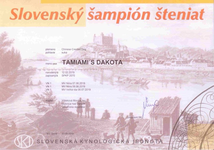dakota_sampion_steniat_1.jpg